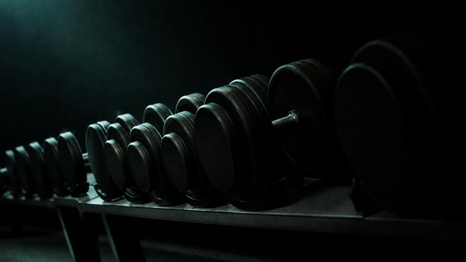A rack of dumbbells in a dark gym, ascending in size from left to right.